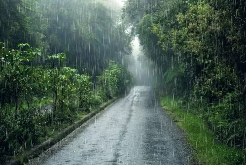 Exploring India's Enchanting Monsoon Destinations